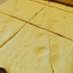 DSCN0447